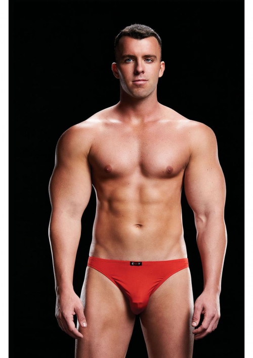 Red Low Rise Brief Large/X-Large