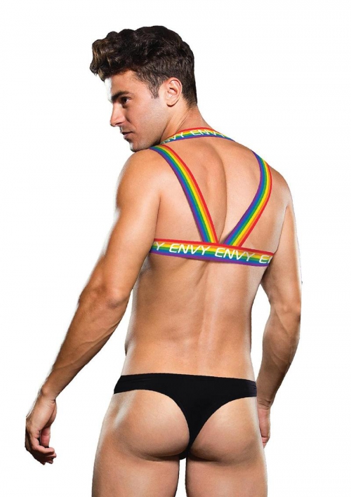 RAINBOW HARNESS-LXL