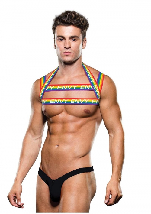 RAINBOW HARNESS-SM